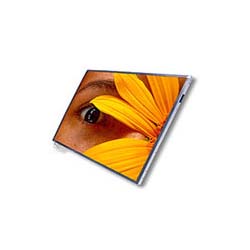 15.4 Inch Dell PReCISION M4000 Laptop Screen